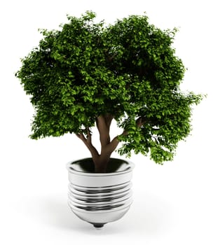 Tree standing inside the lightbulb isolated on white background. 3D illustration.