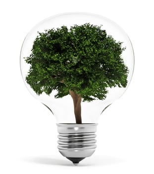Tree standing inside the lightbulb isolated on white background. 3D illustration.