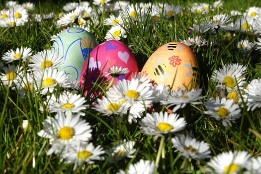 handbemalte Ostereier zwischen Gänseblümchen, Nordrhein-Westfalen, Deutschland