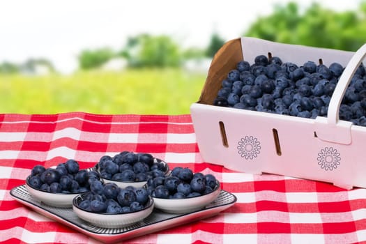Closeup of fresh blueberries filled in a paper basket and a plate with four bowls on a red checked napkin over abstract blurred summer landscape. Concept of healthy nutrition. Space for your design.
