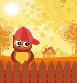 Owl in autumn day