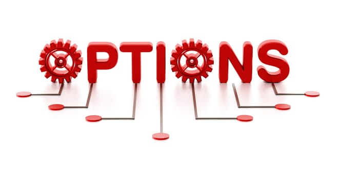 Gears forming letter o in options text. 3D illustration.
