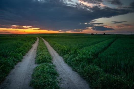 Unpaved road through green fields and sunset, Staw, Lubelskie, Poland