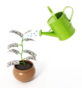 Watering of money plant with 100 dollar bills. 3D illustration.