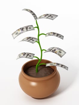 Money plant with 100 dollar bills replacing leaves. 3D illustration.