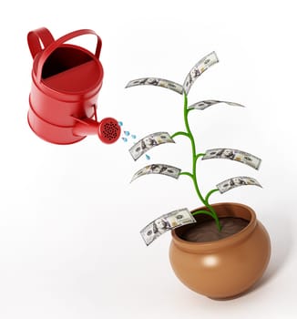 Watering of money plant with 100 dollar bills. 3D illustration.