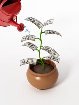 Watering of money plant with 100 dollar bills. 3D illustration.