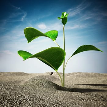 Sprout growing on the desert. 3D illustration.