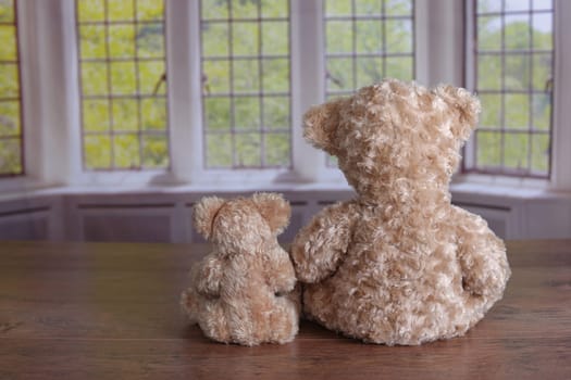 A parenting friendship bonding concept two teddy bears sitting together