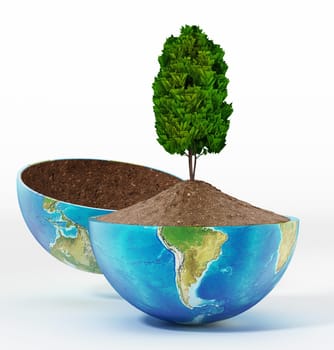 Tree growing on soil inside half open globe. 3D illustration.