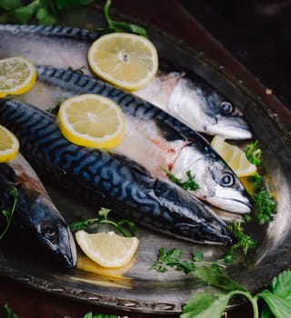 Mackerels seved on silver plate with lemon
