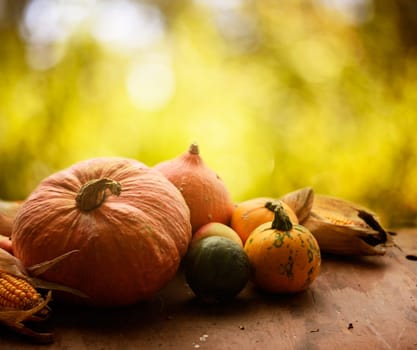 Autumn concept. Seasonal vegetables on wooden table.