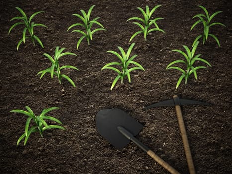 Shovel and pick axe standing on the corn field. 3D illustration.