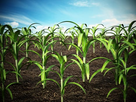 Green field with depth of field effect. 3D illustration.