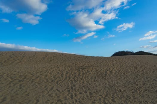 Interlocking patterns in sand - sand dunes, Maspalomas, Cran Canaria