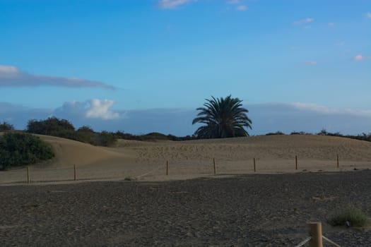 Interlocking patterns in sand - sand dunes, Maspalomas, Cran Canaria