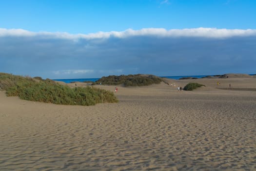 Interlocking patterns in sand - sand dunes, Maspalomas, Cran Canaria