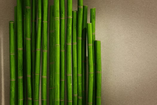 Green bamboo sticks on paper texture background. 3D illustration.