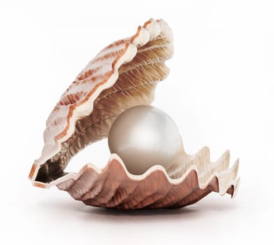 Oyster with a giant pearl isolated on white background. 3D illustration.