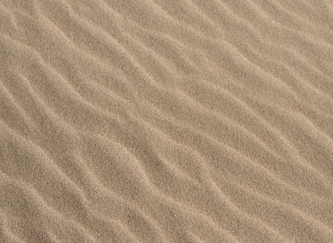 Simple sandy ripples created from wind