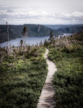 High Elevation Canadien lonely boardwalk trail