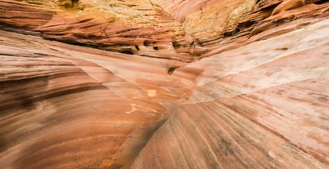 Valley of Fire Marble Landscape