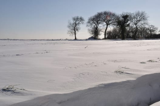 Fields under the snow in Brittany