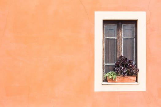 Closed window with planter  and orange wall.