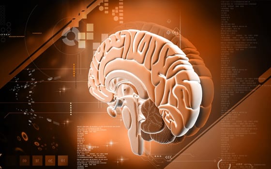 Digital illustration of brain in colour background