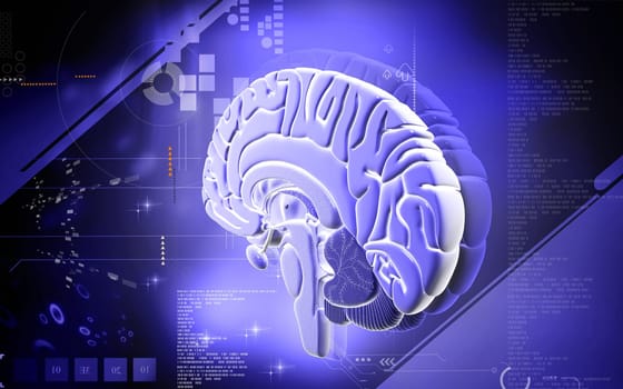 Digital illustration of brain in colour background