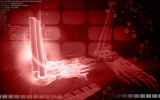 Digital illustration of Leg bone in colour background