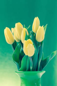 Yellow tulips in green vase - Cross development