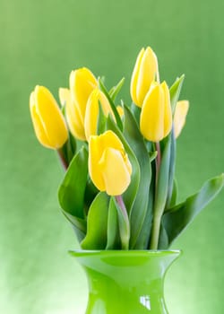 Yellow tulips in green vase
