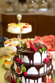 Chocolate cake with figs and raspberries close-up