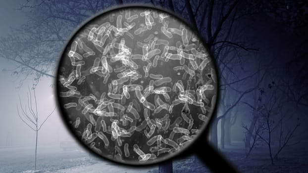 Searching for bacteria in the air,Searching for bacteria in the air