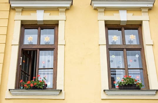 House windows with flowers