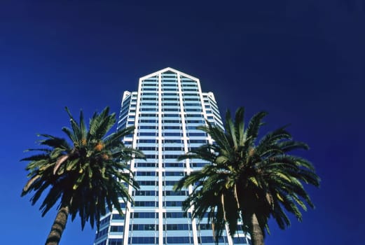 High Rise Building in California