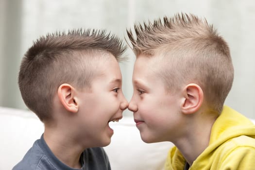 note to nose portrait of little brothers making funny faces