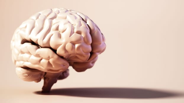 Human brain standing on soft color background. Copy space on the right. 3D illustration.