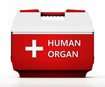 Human organ transport box isolated on white background. 3D illustration.