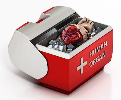 Human heart inside box isolated on white background. 3D illustration.