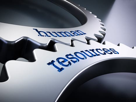 Two gears in motion with human resources text. 3D illustration.