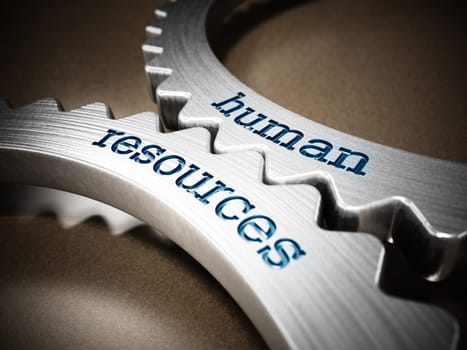 Two gears in motion with human resources text. 3D illustration.