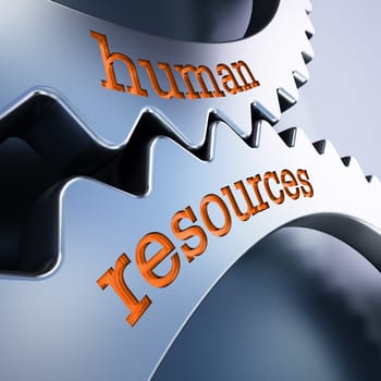 Two gears in motion with human resources text. 3D illustration.