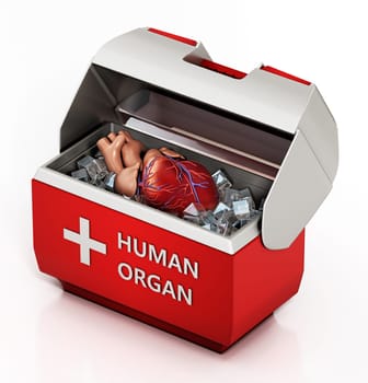 Human heart inside box isolated on white background. 3D illustration.