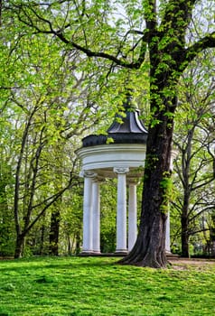 rococo architecture, little white temple next to a tree, worms eye view