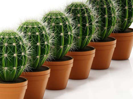 Group of cacti in flower pots isolated on white background. 3D illustration.