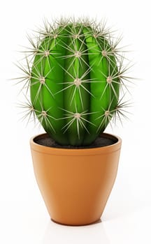 Decorative cactus in flower pot isolated on white background. 3D illustration.
