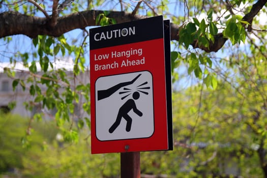 Caution, low hanging branch ahead red and white sign with icon representation hanging on a pole with trees in the background