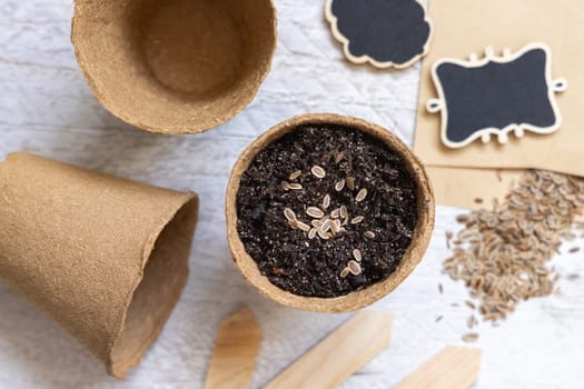 Dill seeds, biodegradable pots and garden tools top view. Homegrown plant, Indoor gardening and germinating herb seeds, on white wooden table